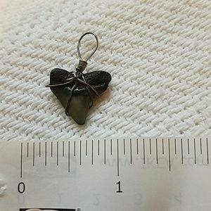 Accessories - Shark tooth necklace charm Accessories - Shark tooth necklace charm